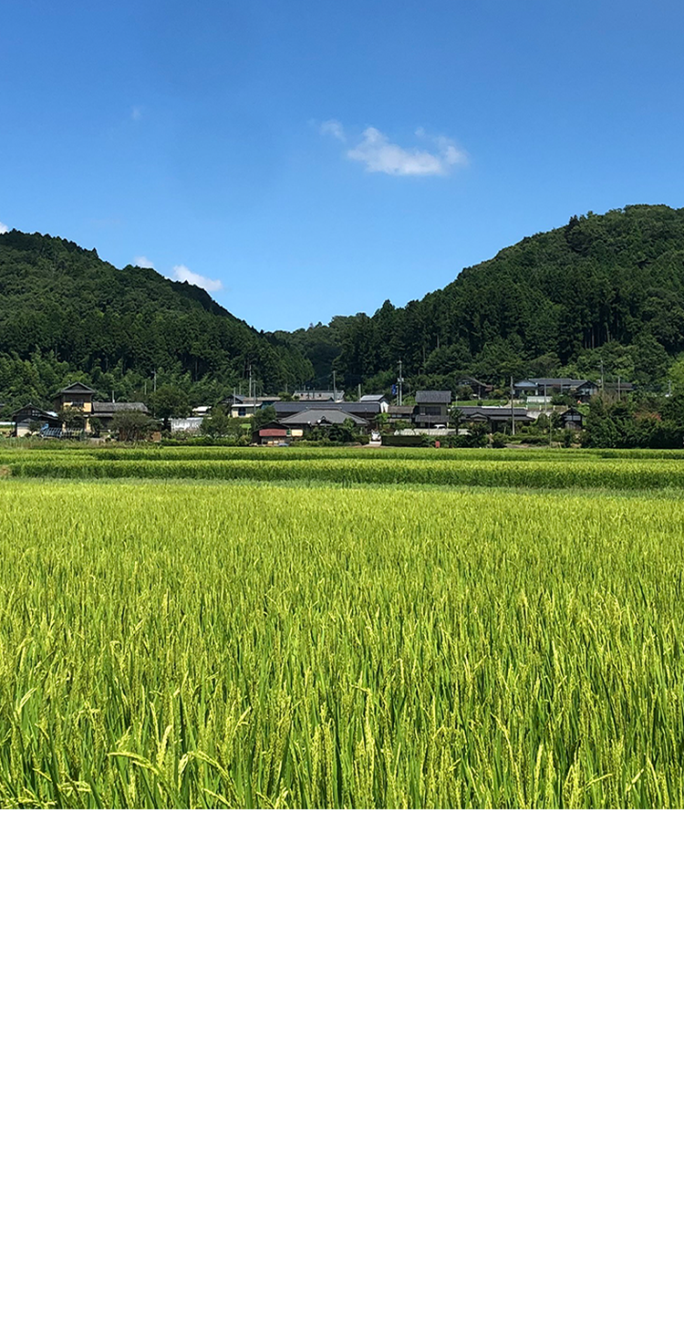 GRASS ROOTS FARMとは