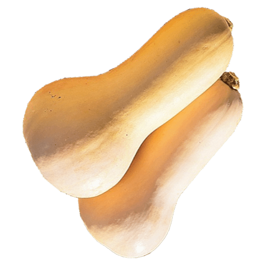 GRASS ROOTS FARM BOX 販売中！