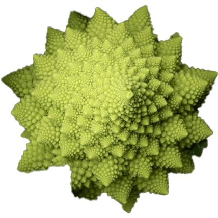 GRASS ROOTS FARM BOX 販売中！