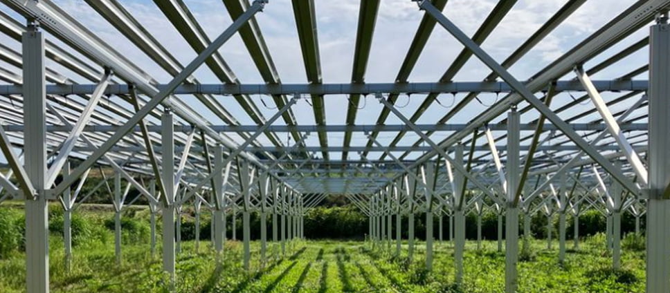 GXプロジェクト