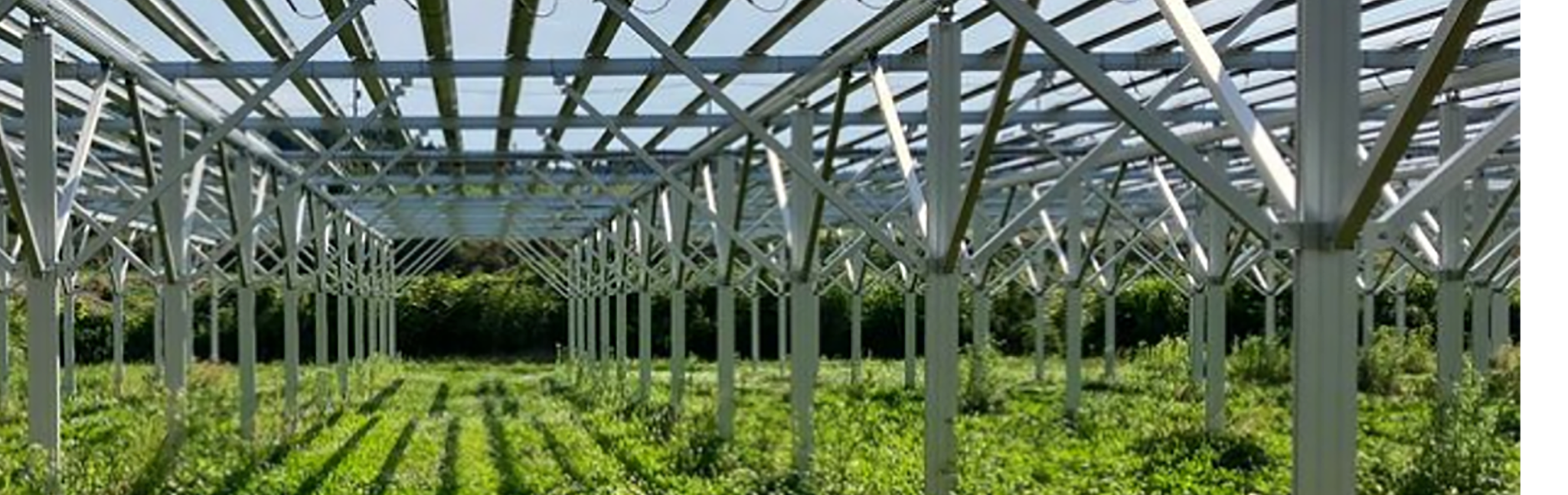 GXプロジェクト