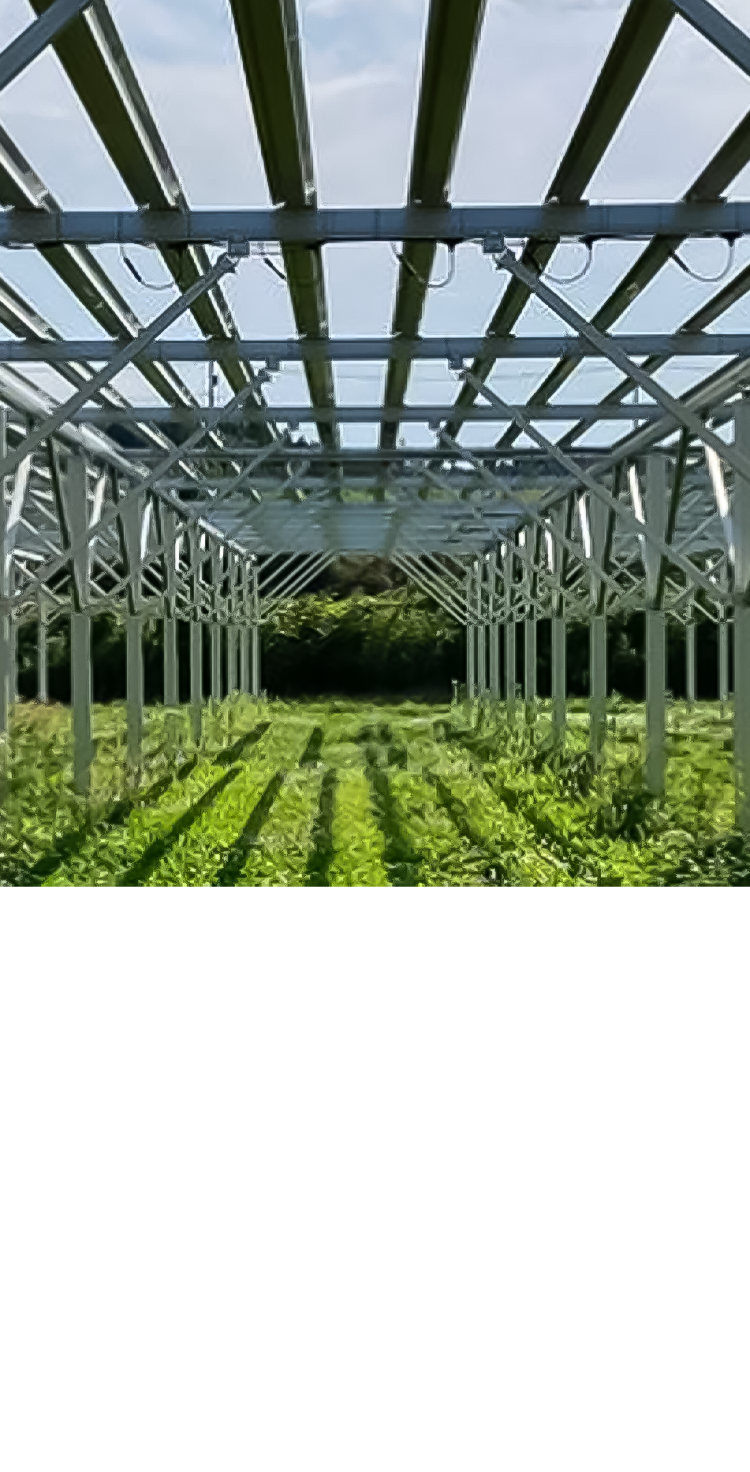 GXプロジェクト